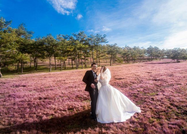 Chụp ảnh cưới cánh đồng cỏ hồng